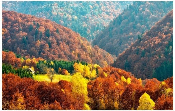 Йдемо далі, в нову осінь... 19 фото осінніх барв !