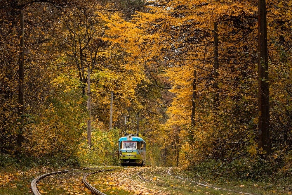 Найдивовижніші пейзажі золотої пори року (+фото)