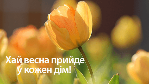 1 березня – свято весни: привітання, картинки, вірші