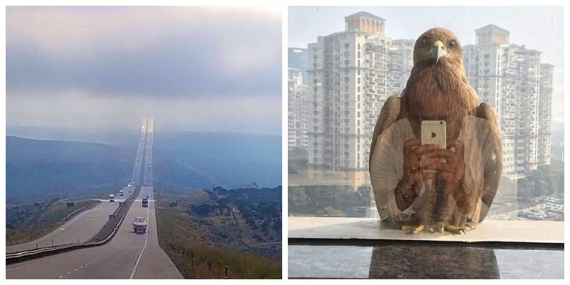 14 фото, на яких немає фотошопу - хоча, в це складно повірити
