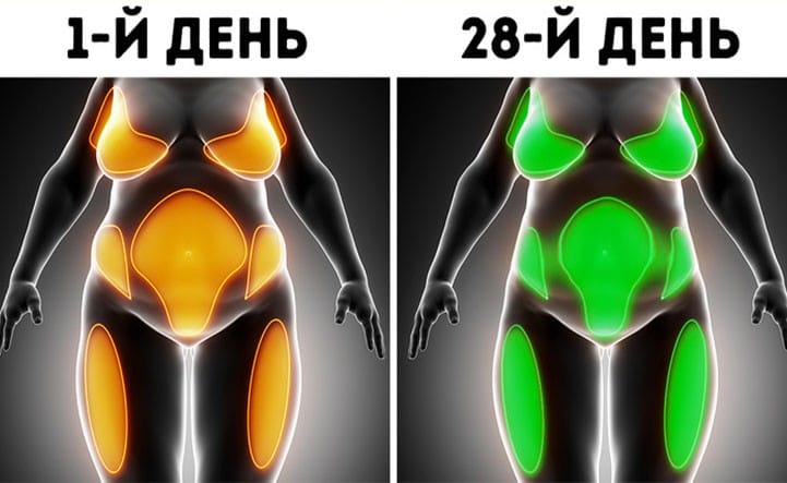 Що відбудеться з організмом, якщо 28 днів не вживати алкоголю
