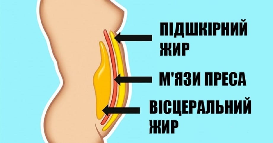 Внутрішній жир: 10 діючих правил, які допоможуть його позбутися