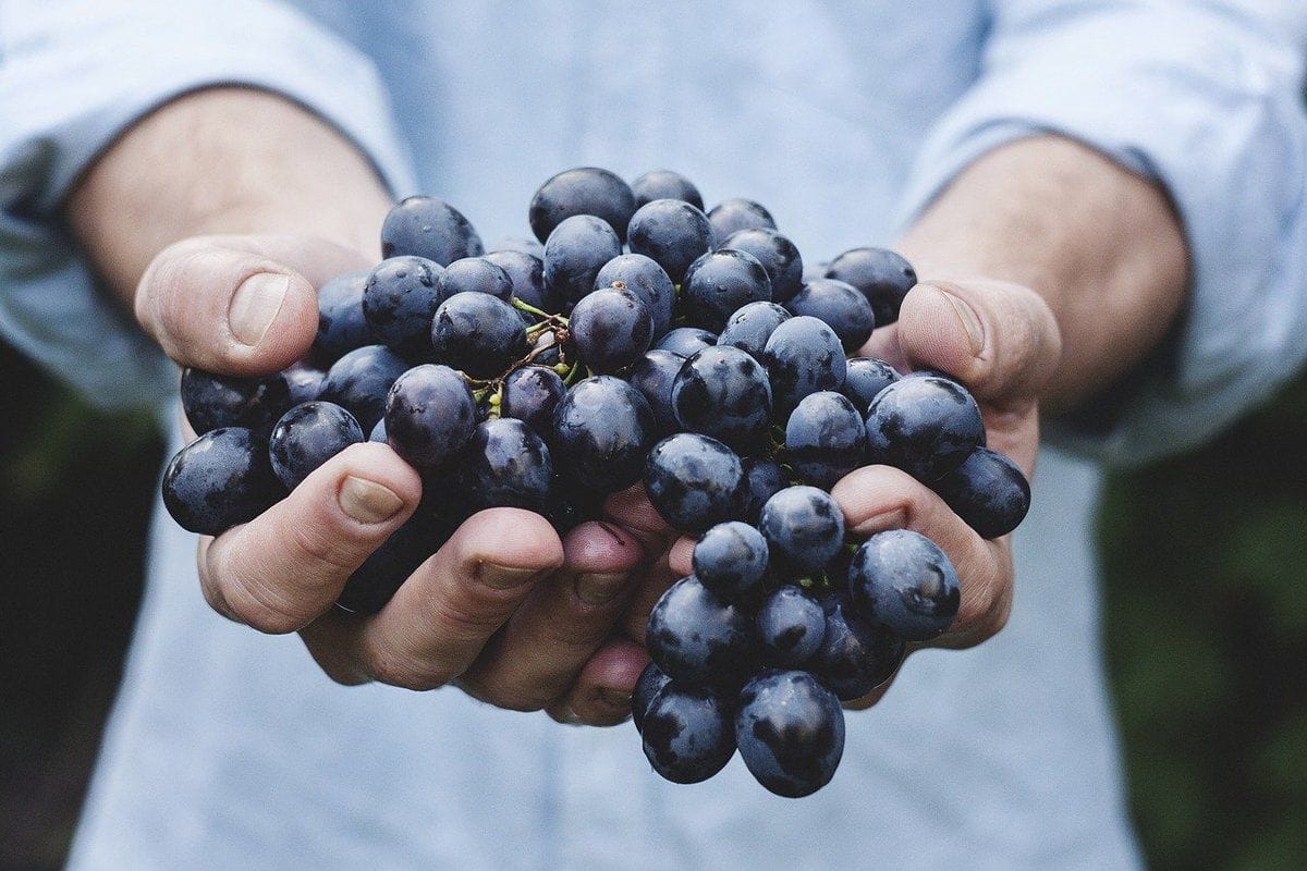 5 корисних продуктів, які варто їсти, коли хочеться солодкого