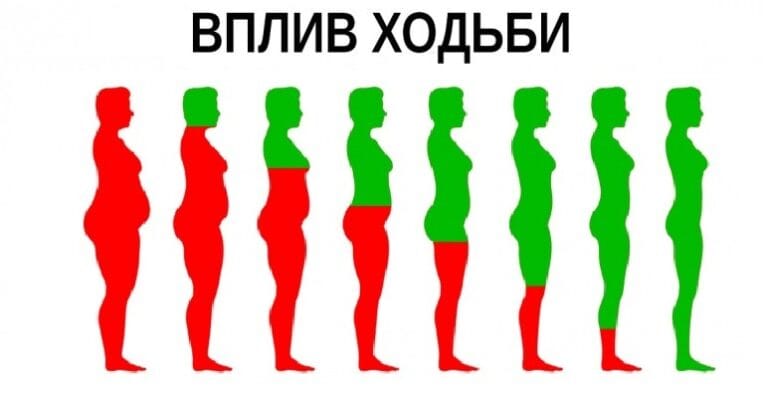 Дешевий фітес: 10 речей, які відбудуться з вашим тілом, якщо ви будете ходити щодня пішки