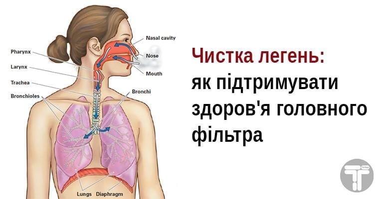 Чому виникають проблеми з легенями і як захистити органи дихання