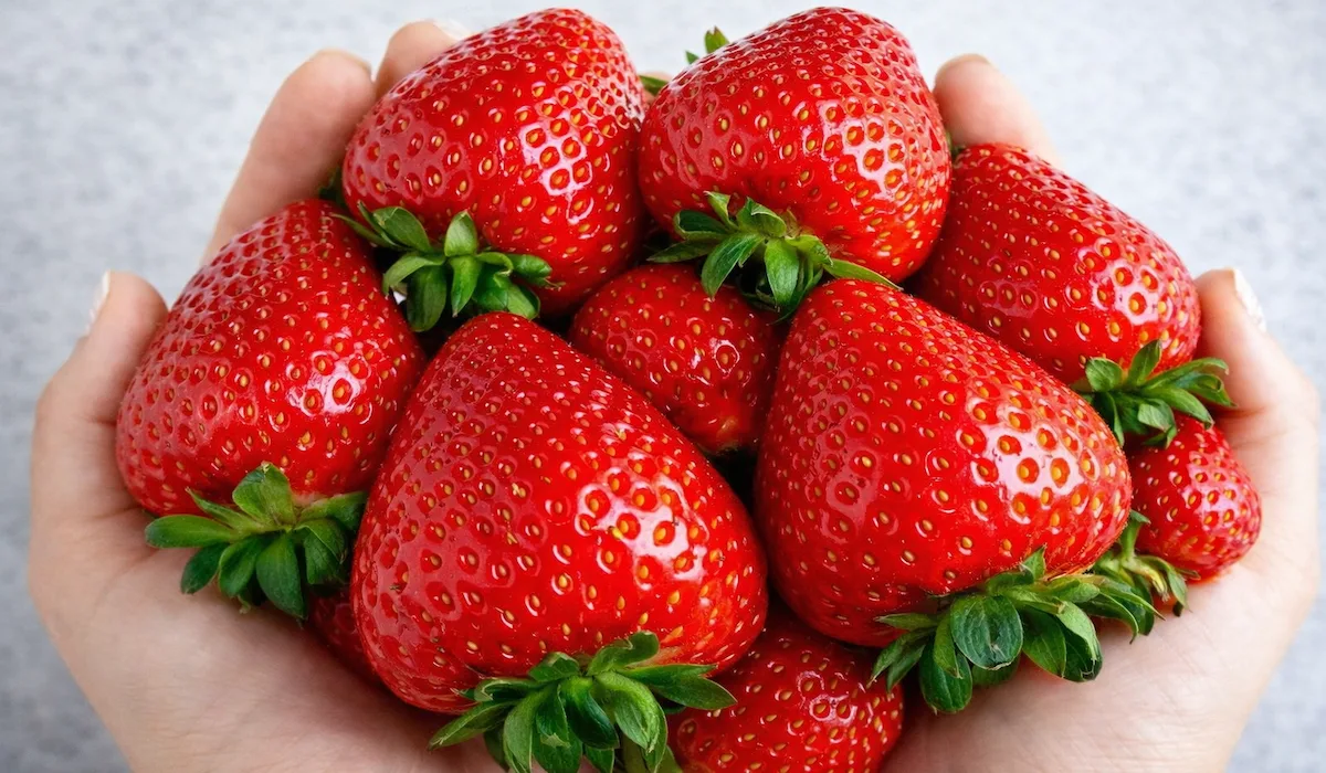 Які добрива вносити навесні під полуницю