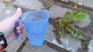 Бур’яни зникнуть за 1 день: мій “чудо-розчин” без гербіцидів